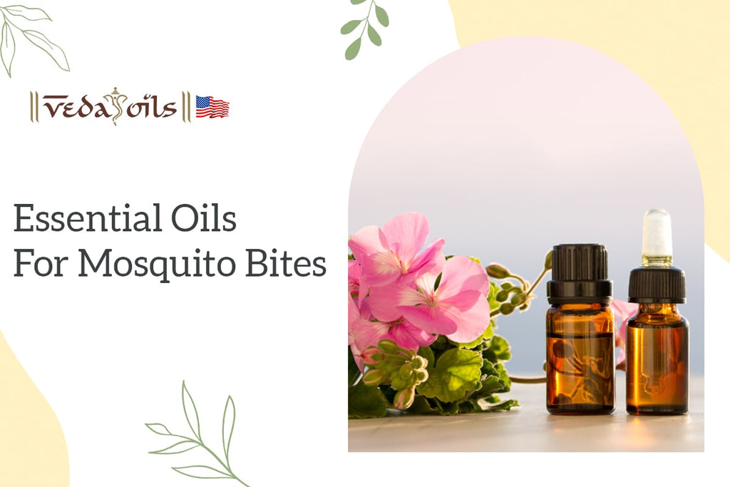 5 Best Essential Oils for Mosquito Bites How to Use Them VedaOils USA