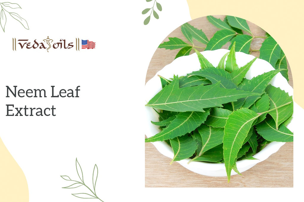 Neem Leaf Extract Uses & Benefits for Hair, Skin and Eyes VedaOils USA