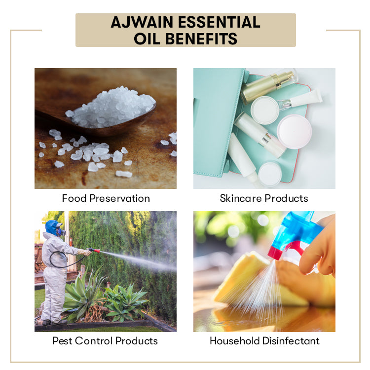 Ajwain Essential Oil / Ajowan Oil