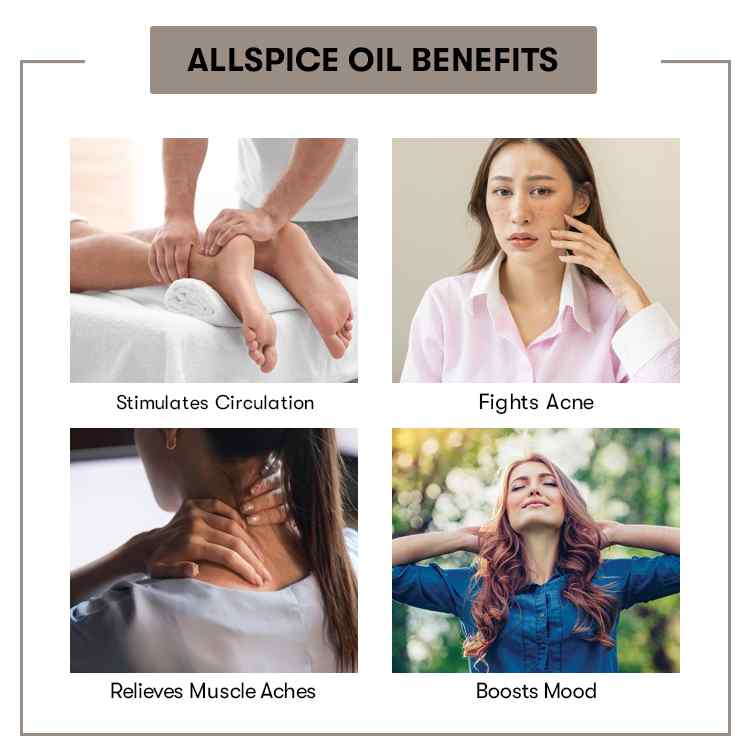 Allspice Oil