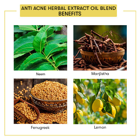 Anti Acne Herbal Extract Blend