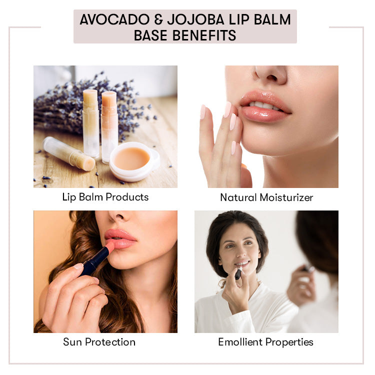 Avocado & Jojoba Lip Balm Base - Ready to Use