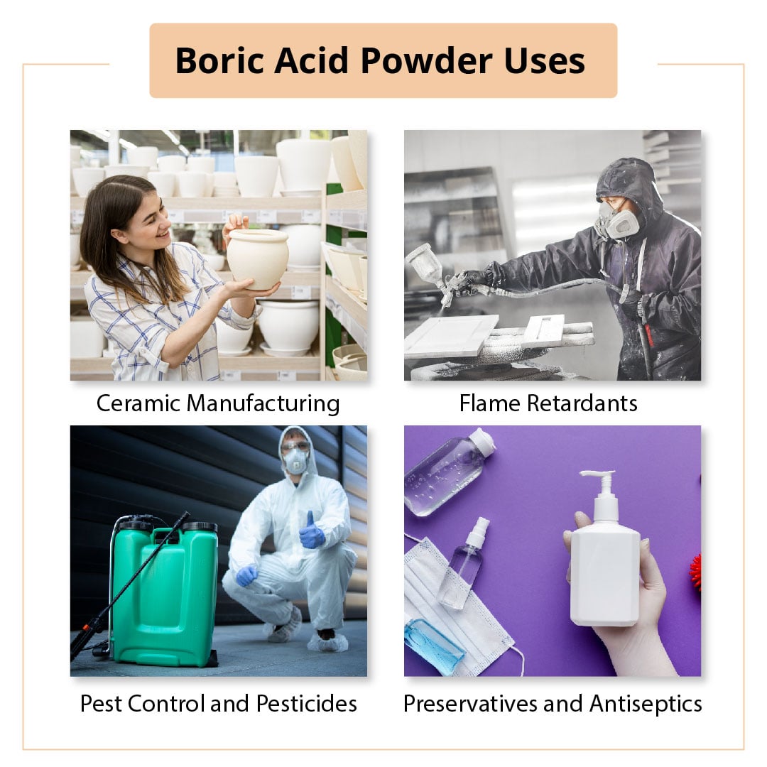 Boric Acid Powder