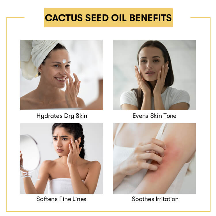 Prickly Pear Cactus Seed Oil