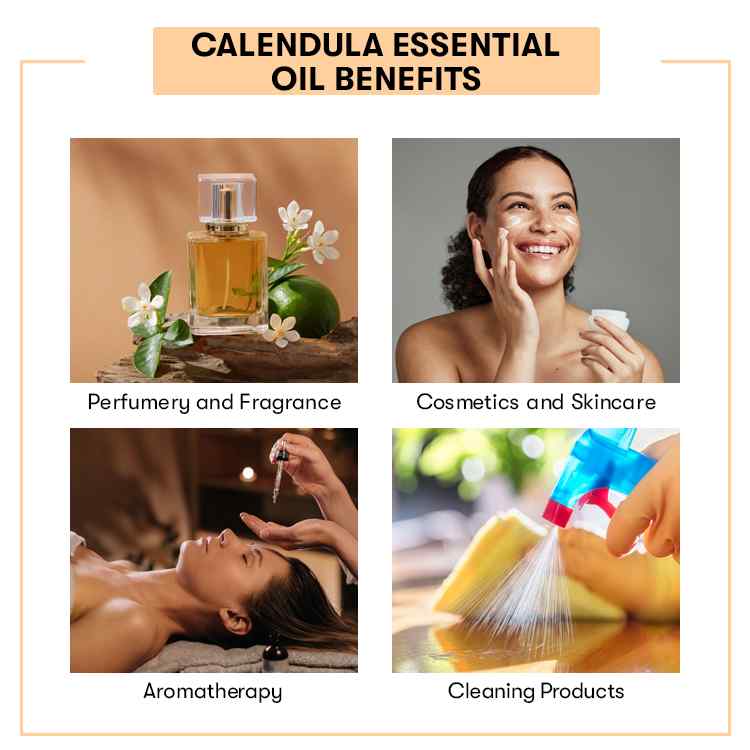 Calendula Essential Oil