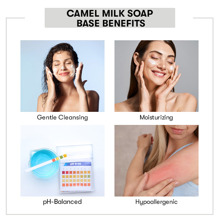 Camel Milk Soap Base