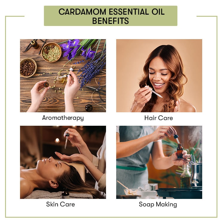 Cardamom Essential Oil