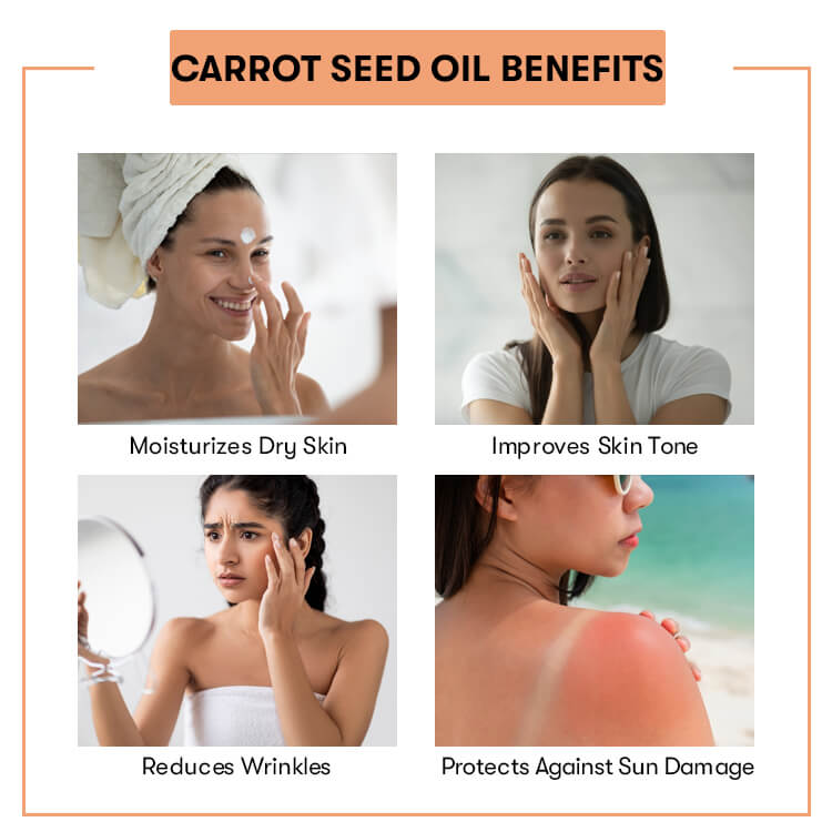 Carrot Seed Oil
