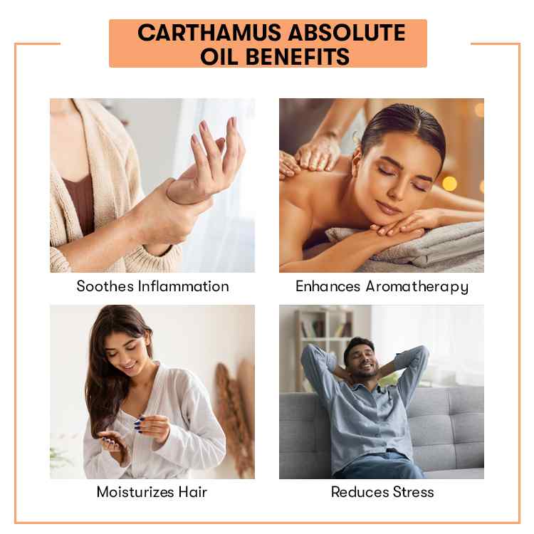 Carthamus Absolute Oil