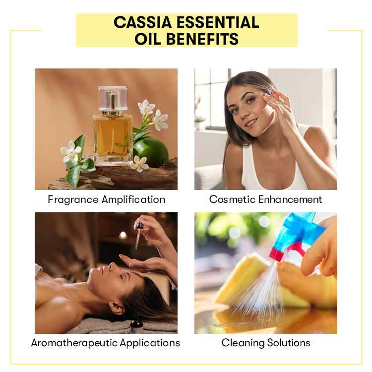 Cassia Essential Oil
