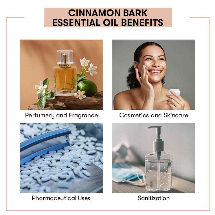 Cinnamon Bark Essential Oil