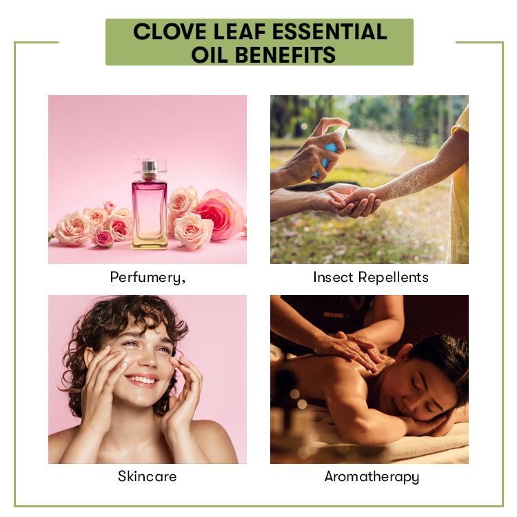 Clove Leaf Essential Oil
