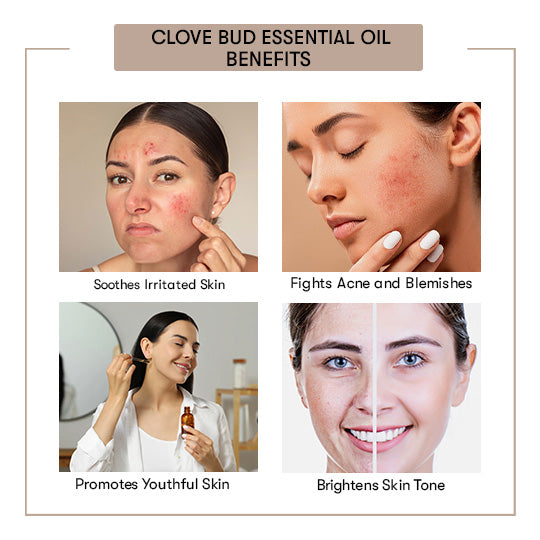 Clove Bud Essential Oil