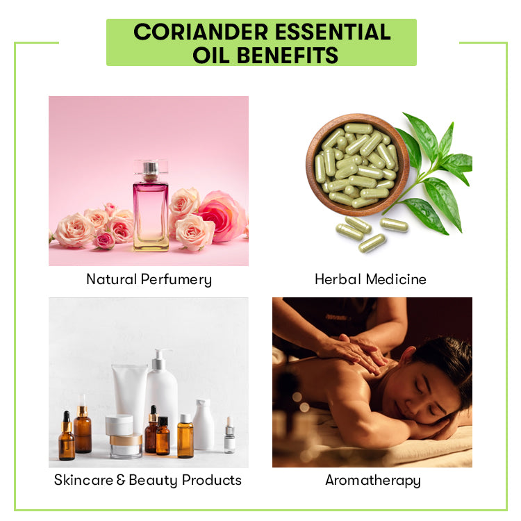 Coriander Essential Oil