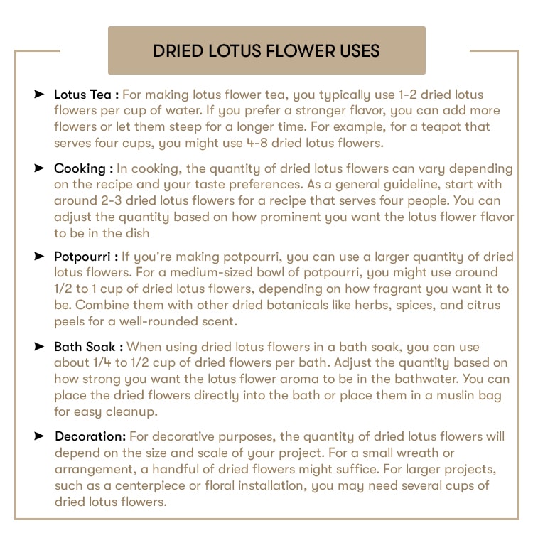 Dried Lotus Flower