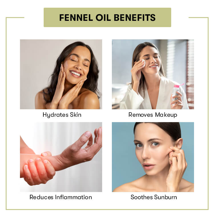 Fennel Seed Oil