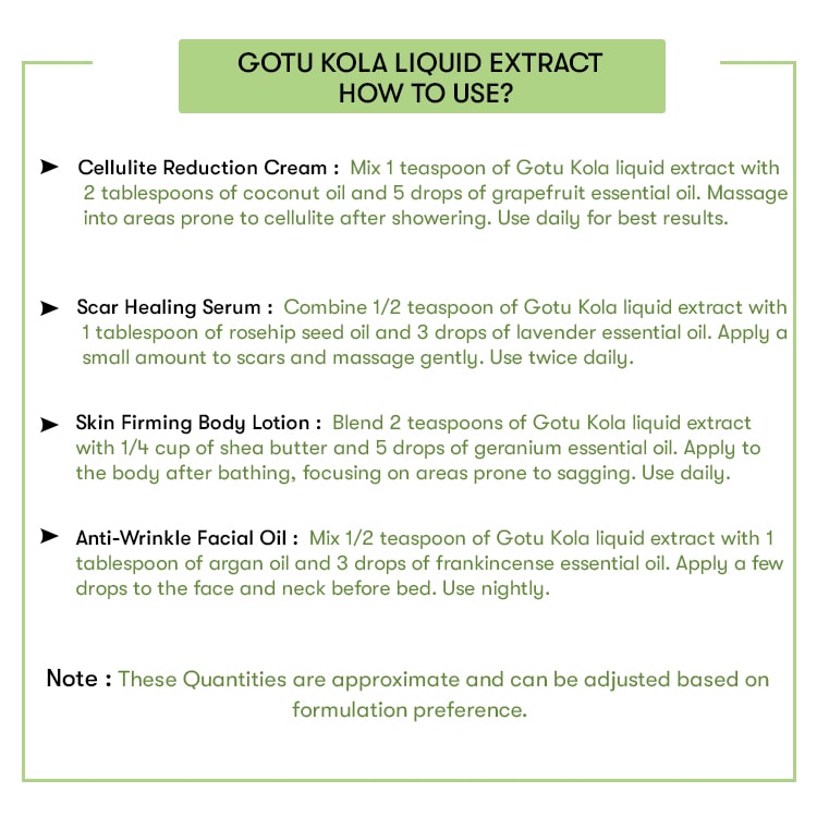 Gotu Kola Liquid Extract