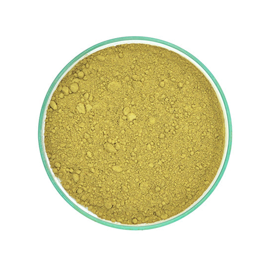 Green Tea Extract Powder