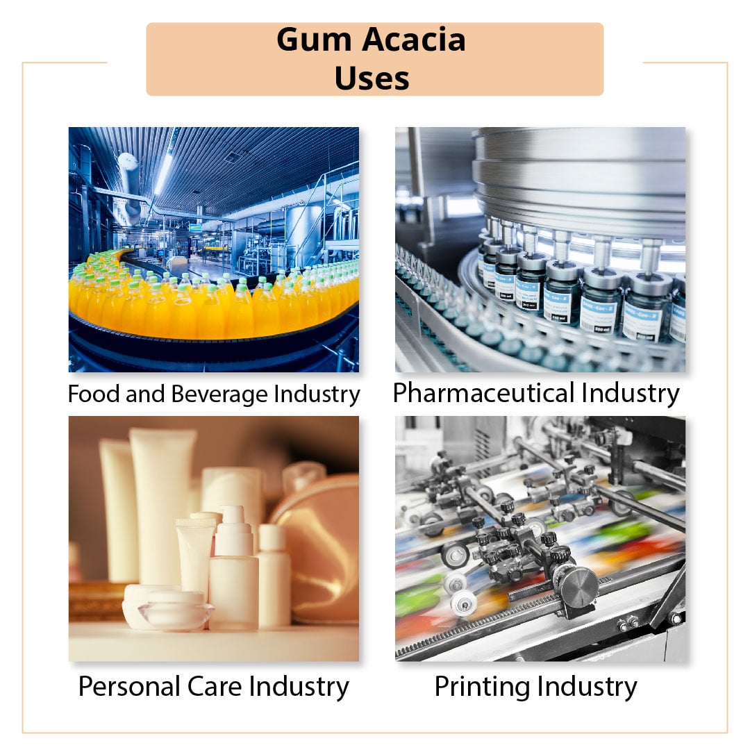 Gum Acacia Powder