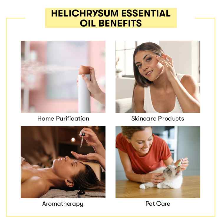Helichrysum Essential Oil
