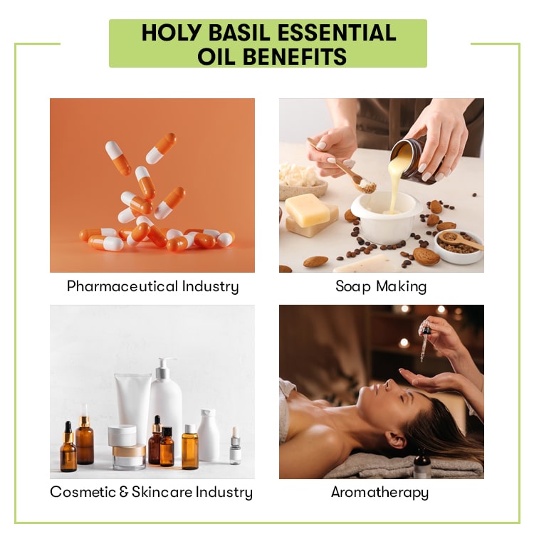 Holy Basil Essential Oil