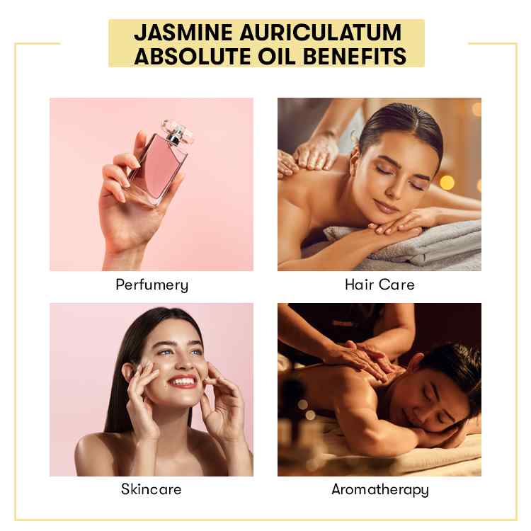 Jasmine Auriculatum Absolute Oil