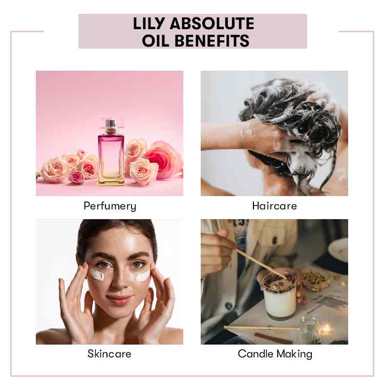 Lily Absolute Oil