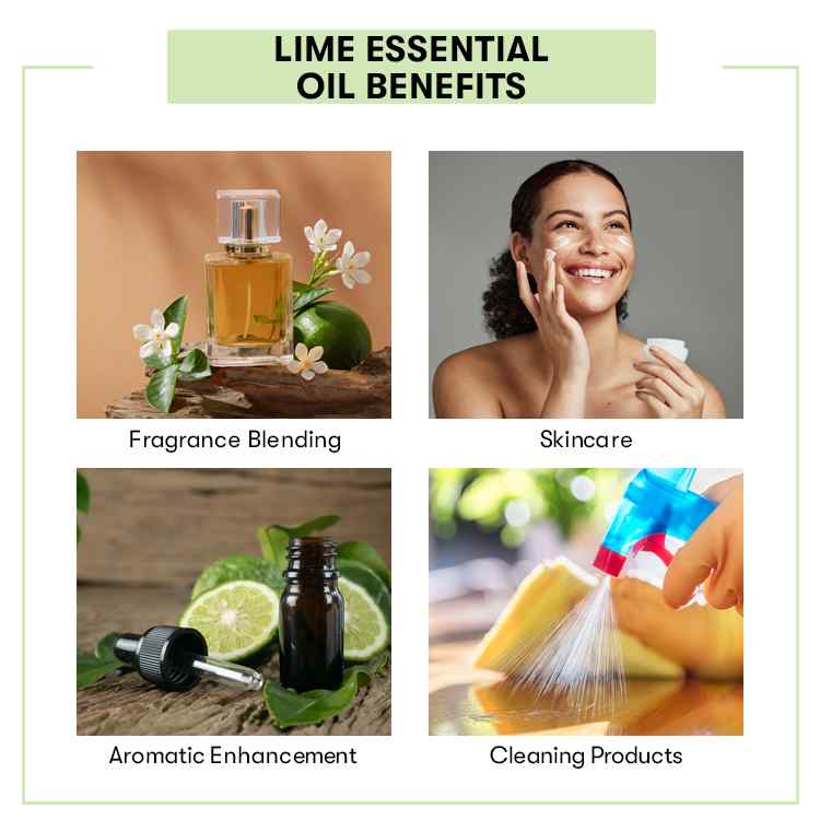 Lime Essential Oil