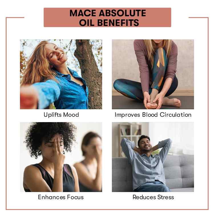 Mace Absolute Oil