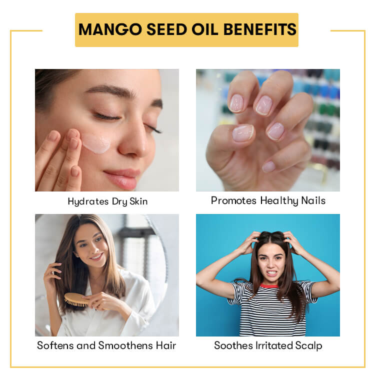 Mango Seed Oil