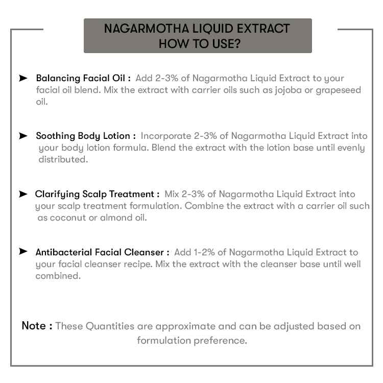 Nagarmotha Liquid Extract
