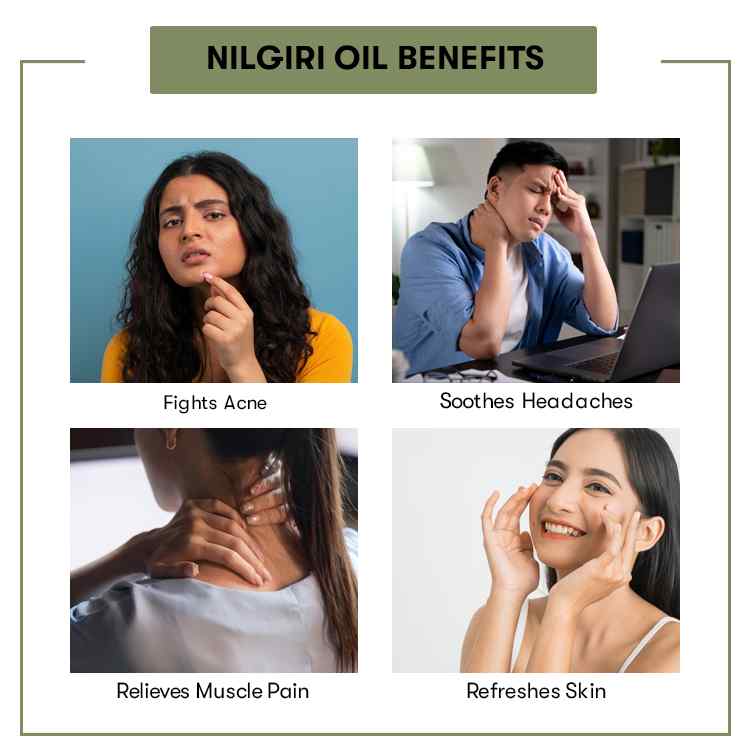 Nilgiri Oil