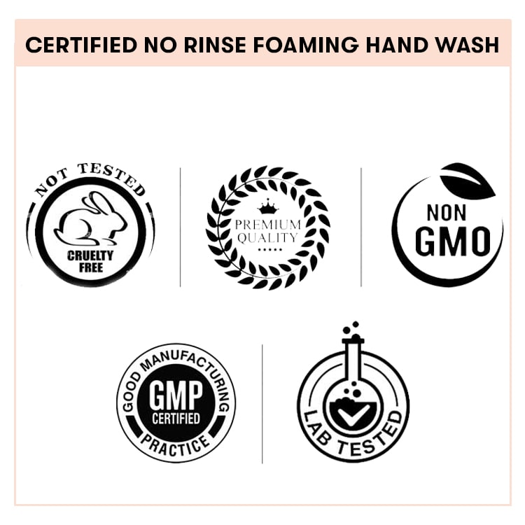 No Rinse Foaming Hand Wash