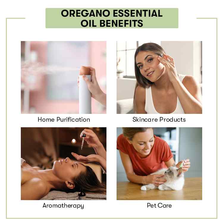 Oregano Essential Oil