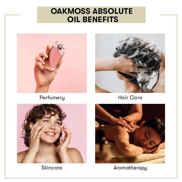 Oakmoss Absolute Oil