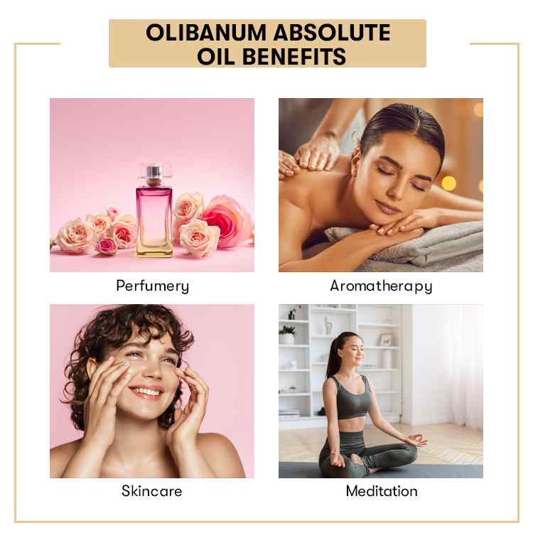 Olibanum Absolute Oil
