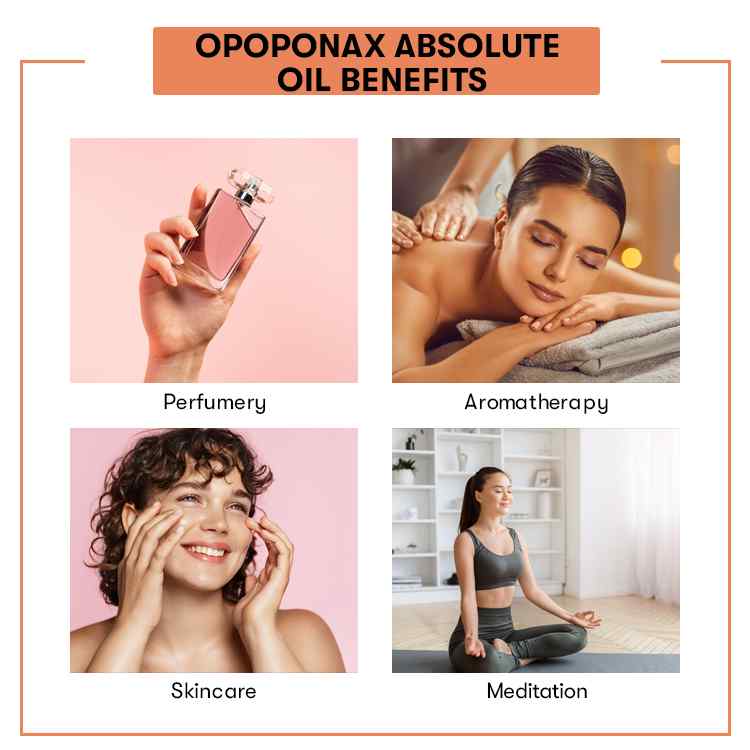 Opoponax Absolute Oil