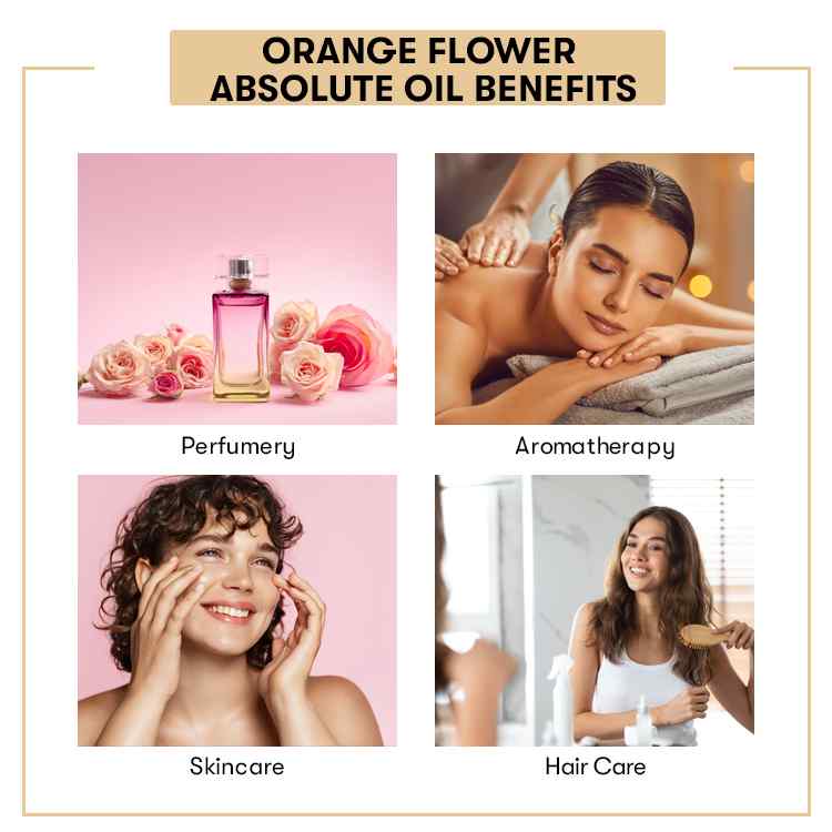 Orange Flower Absolute Oil