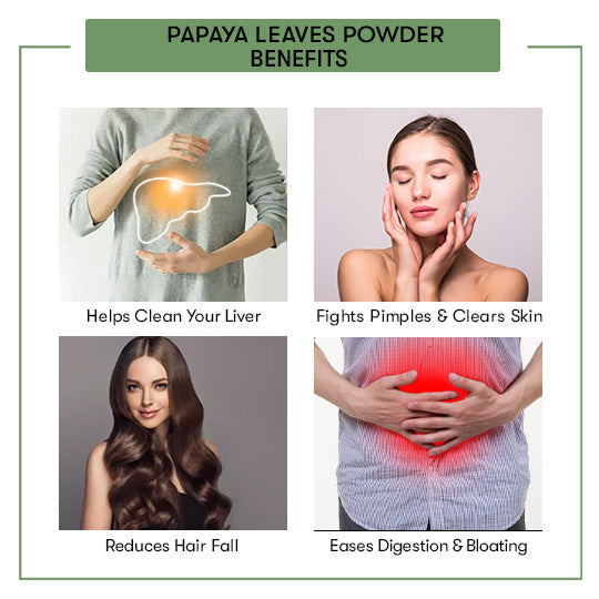 Papaya Leaves Powder