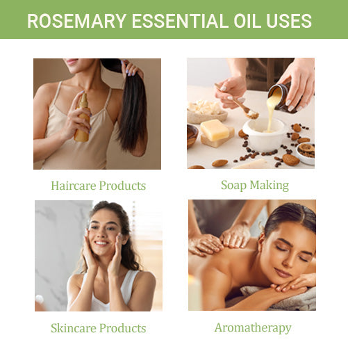 Rosemary Oil - 0.3 Floz (Buy 1 Get 1 Free)