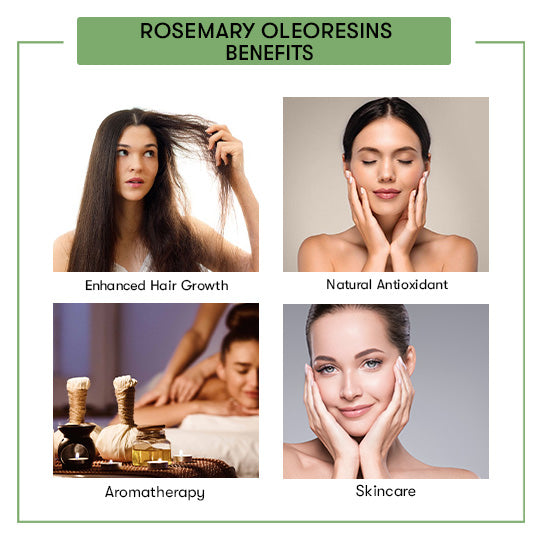 Rosemary Oleoresins