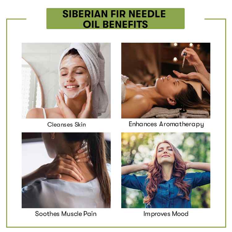 Siberian Fir Needle Oil
