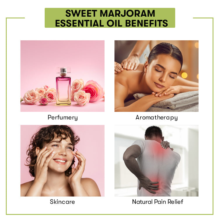 Sweet Marjoram Essential Oil