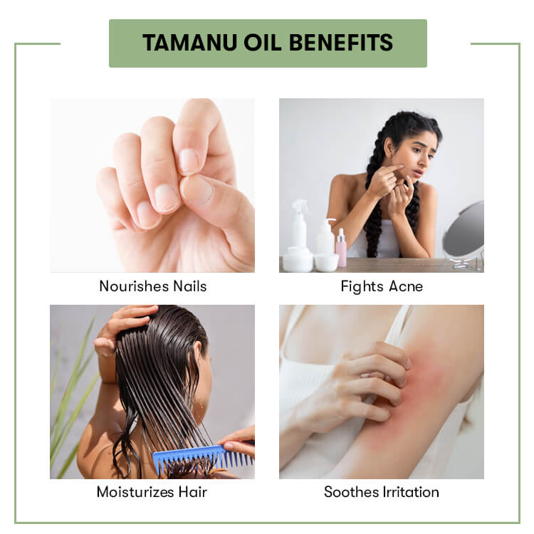 Tamanu Oil