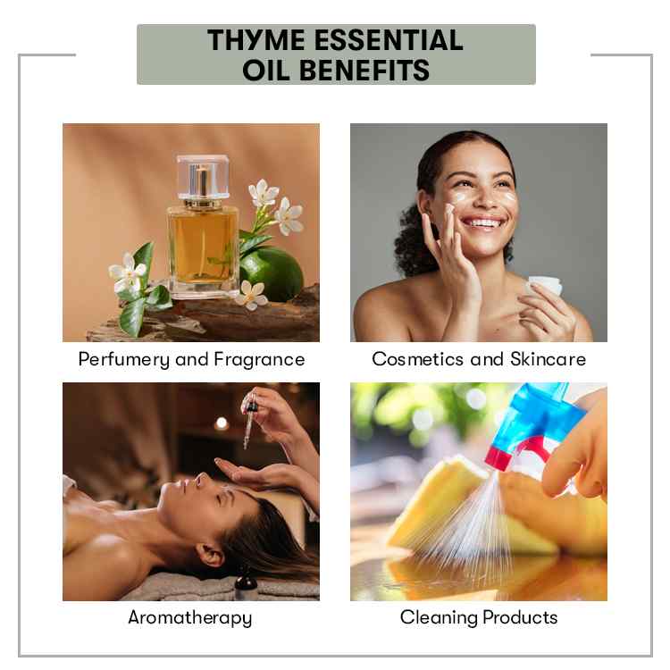 Thyme Essential Oil
