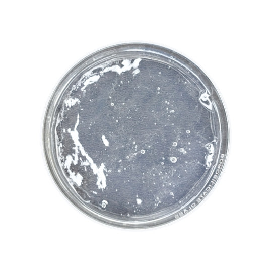 Transparent Body Wash Base ( Ready To Use)