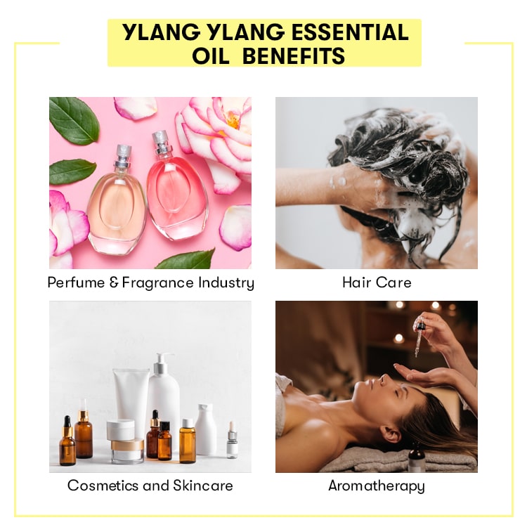 Ylang Ylang Essential Oil