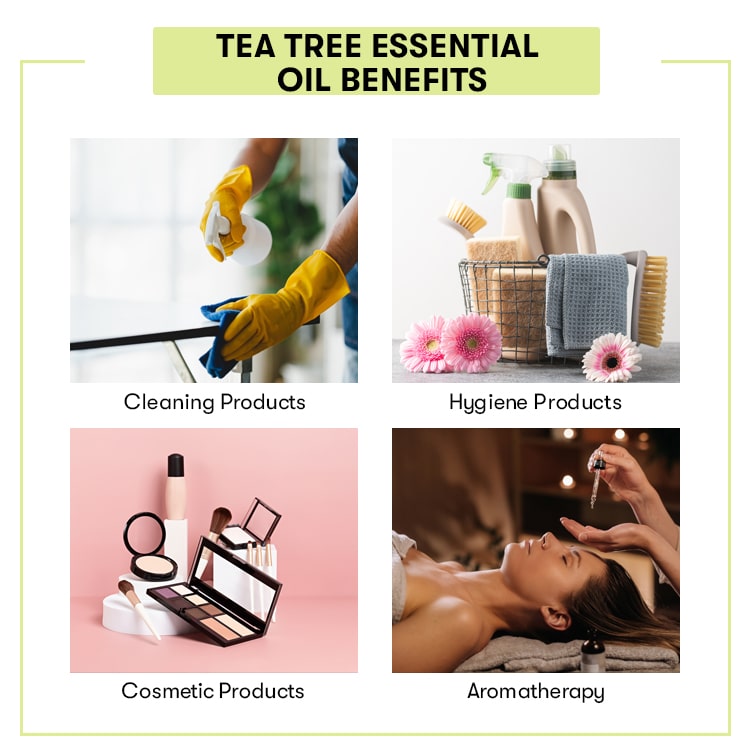 Tea Tree Essential Oil