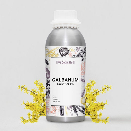 Galbanum Essential Oil