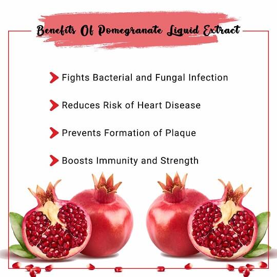 Pomegranate Liquid Extract Benefits